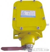 縱向撕裂開關(guān)YHZL-I、YHZL-IIBZL-220B防爆縱向撕裂保護(hù)裝置